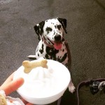 Doggy Delight Sundae at Ice Cream Delight of Delaware
